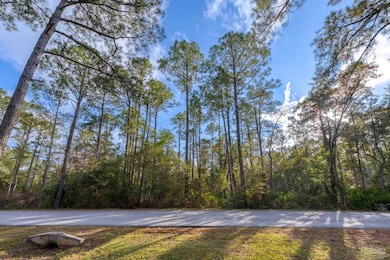 00 Mullet Dr, Freeport, FL 32439 - photo 3