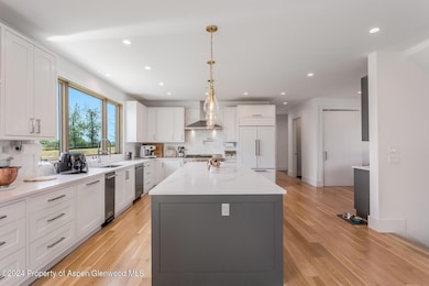 577 Fox Run Dr, Carbondale, CO 81623 - photo 3