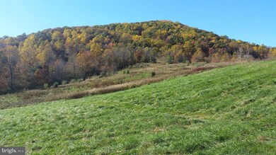 687 Scrabble Rd, Castleton, VA 22716 - photo 4