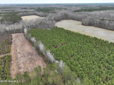 Jamesville Parcel - John Kaufman - 27