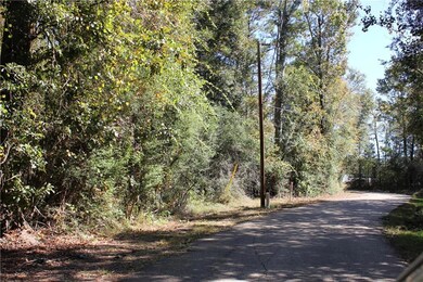 0 S Veterans Ave unit 2368773, Hammond, LA 70403 - photo 4