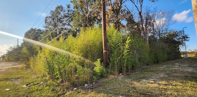 TBD Greenwell Springs Rd, Baton Rouge, LA 70739 - photo 2