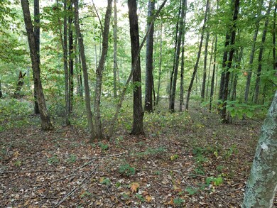 20190930_172459