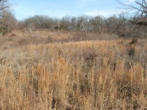Land Shot #2