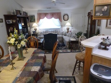 Open Concept