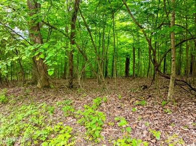 Running Deer Trail Lot-3
