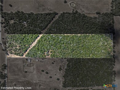 2025 Mule Creek Rd, Harwood, TX 78632 - photo 3