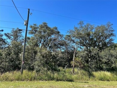 0 Woodstork Way unit MFRL4957348, Frostproof, FL 33843 - photo 4