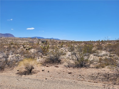 View of mountain backdrop with a desert landscape