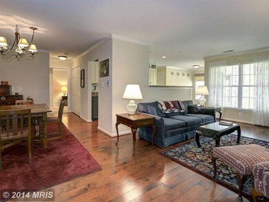 2155 Scotts Crossing Ct unit 1, Annapolis, MD 21401 - photo 2