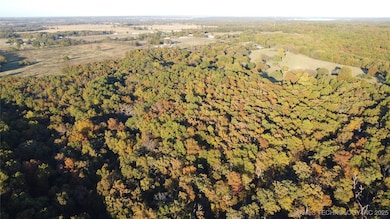 0000 Cohea Ln, Afton, OK 74331 - photo 6