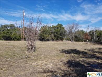0000 County Road 4820, Kempner, TX 76539 - photo 2