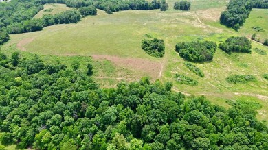 120 Acres Carnes Chapel Rd, Attalla, AL 35954 - photo 5