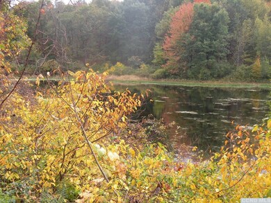 0 Cold Spring Rd unit 129301, Milan, NY 12571 - photo 7