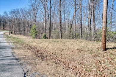 0 Lots 734 & 735 Renegade Pkwy unit 239400, Crab Orchard, TN 37723 - photo 4