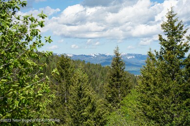 4 Big Hole view
