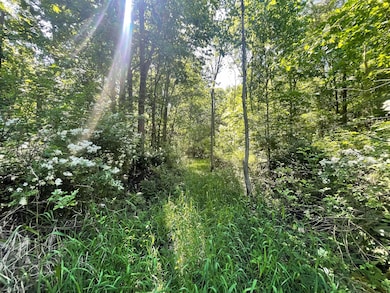 9890 Springport Rd, Parma, MI 49269 - photo 7