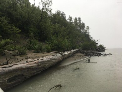 beach looking upriver from lot 6