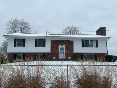 120 Ballpark Rd unit 120, Craigsville, WV 26205 - photo 2