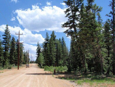 Roads are treated for dust control