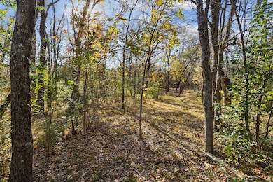 Wooded back of property