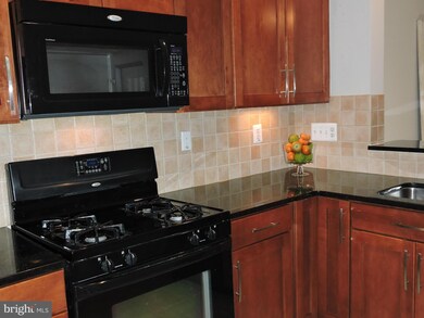 22743 Settlers Trail Terrace unit 15C, Ashburn, VA 20148 - photo 7