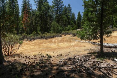 0 Speckled Rd, Pollock Pines, CA 95726 - photo 5