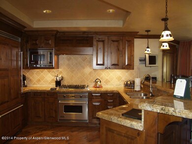 415 E Dean Unit 33 Week 26 St, Aspen, CO 81611 - photo 5