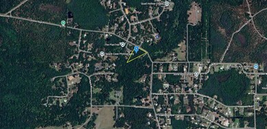 8061 Quail Hollow Blvd, Wesley Chapel, FL 33544 - photo 3