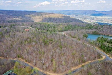 DJI_0106