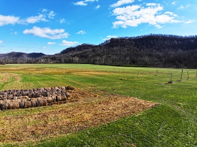 88 Acres of Opportunity on Red Lick Rd