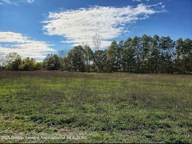 0 Chicory Ln unit 292757, Portland, MI 48875 - photo 3