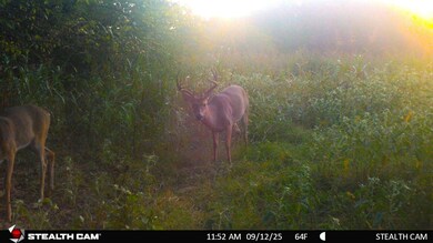 Highway 31, Coalgate, OK 74538 - photo 5