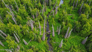 dji_fly_20240621_113944_912_171902873129