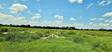 0 Mammoth Grove Rd unit MFRP4935059, Lake Wales, FL 33898 - photo 5