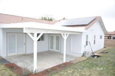 Patio and back yard