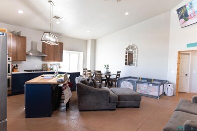 1335 Mcfarland Rd, Carlsbad, NM 88220 - photo 2