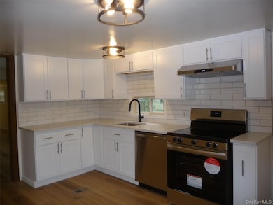 Kitchen featuring stainless steel appliances, white cabinets, under cabinet range hood, and dark wood-style floors