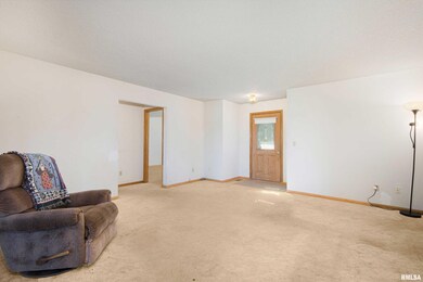 3824 W 46th St, Davenport, IA 52806 - photo 6