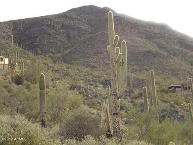Looking Up The Mountain From The Lot