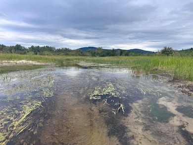Map20Lot19 Carter Hill Rd, Fryeburg, ME 04037 - photo 6