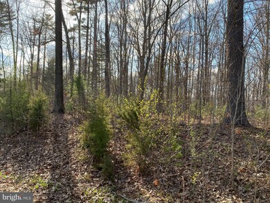 Lot 9 Jones Farm Rd, South River, VA 22610 - photo 6