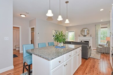 20 Beaver Pond Rd unit 20, Milford, MA 01757 - photo 7