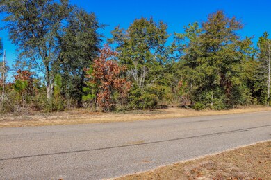 Roadside View 2