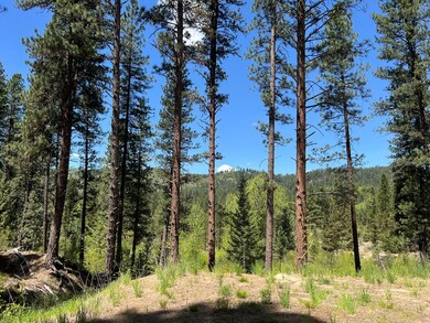 Mountain Views