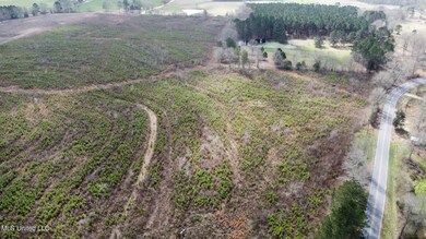 dji_fly_20230224_110944_204_167725863451