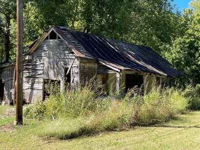 405 Cedar Creek Rd, Linden, TN 37096 - photo 4