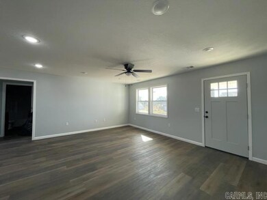 9 Granny Jean Ln, Paragould, AR 72450 - photo 5