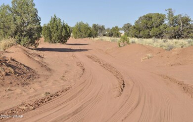 driveway in