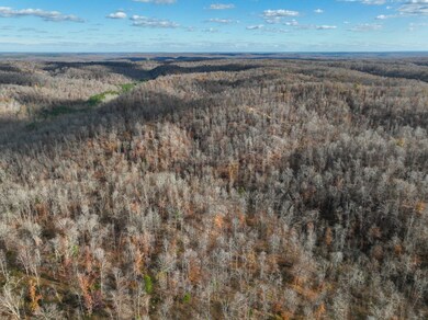 2938 Woods Prong Rd, Linden, TN 37096 - photo 6